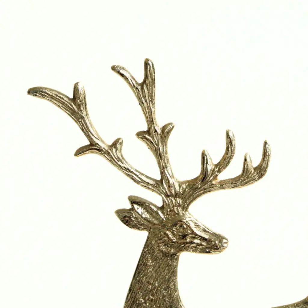Cerf Forclaz - 2