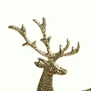 Cerf Forclaz - 2