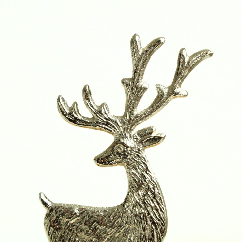 Cerf Nendaz - 2