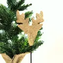 Cerf Kope - 2