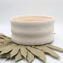 Pot Oderzo - 2