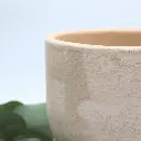 Pot Herculanum - 2
