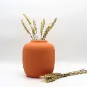 Pot Volano
