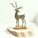 Cerf Forclaz