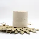 Pot Nettuno