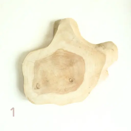 Plateaux Nagano
